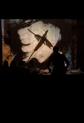 Spektaklis visai šeimai „Sekretai iš baltųjų laikų“ Stalo teatras, Vilnius Menų festivalis vaikams „Kurhauzo nykštukas“