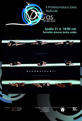 Šokio spektaklis 