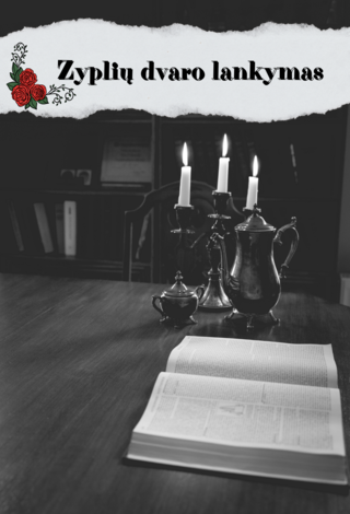 Zyplių dvaro komplekso (centriniai dvaro rūmai, arklidė, vežiminė, amatininkų namas) lankymo bilietas