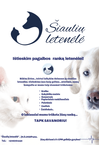 Parama Šiaulių